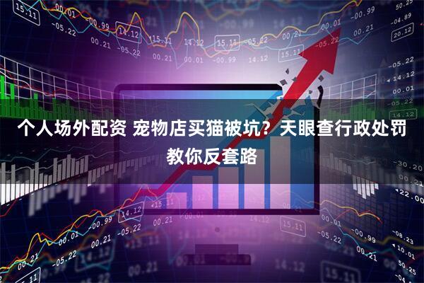 个人场外配资 宠物店买猫被坑？天眼查行政处罚教你反套路